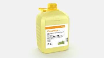   Caramba